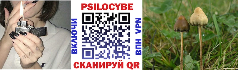 Псилоцибиновые грибы MAGIC MUSHROOMS  закладки  Касимов 